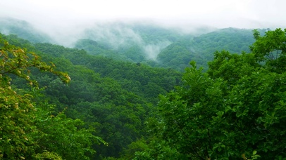 青山云雾雨天森林