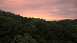 【4K航拍】夕阳下的森林