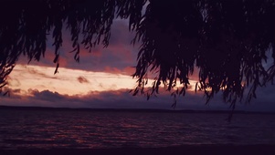 风吹柳叶，夕阳西下