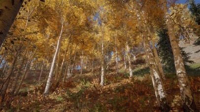 风景系列之四十【4K唯美】