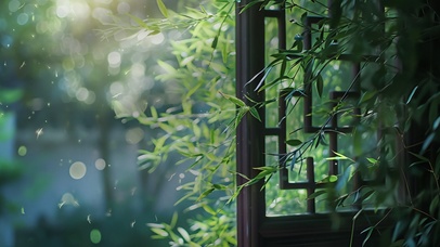 古风窗外绿影