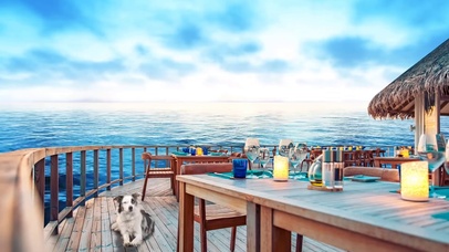 海上休闲咖啡厅