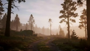 日出阳光森林小径