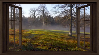 清晨窗外雾气树林