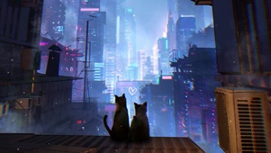 城市黑猫