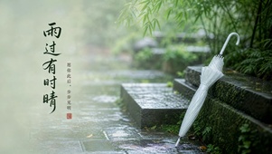 雨院江南闲景