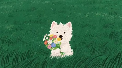 草丛中的捧花小狗狗