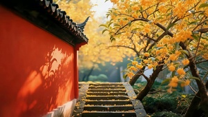 秋天古城