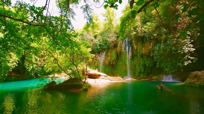 护眼绿林溪流瀑布水潭