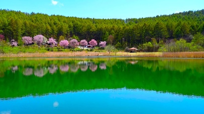 高山夏日湖