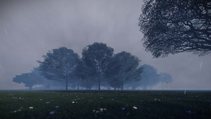 雨雾