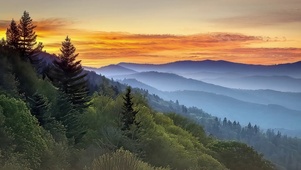 山景