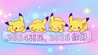 再见2024