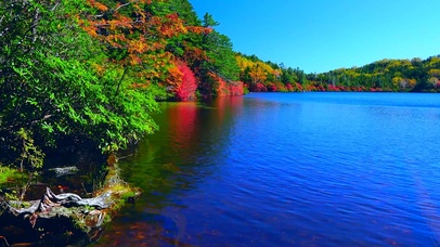4k 紅葉の秋湖