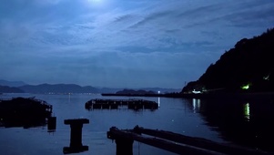 夜晚河边虫鸣