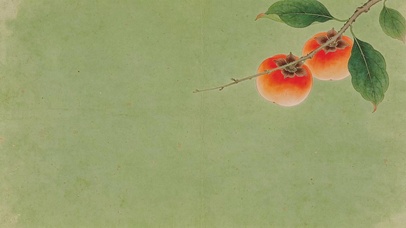 柿子枝头