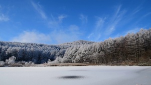 雪天草地