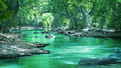 绿树成荫，溪流潺潺