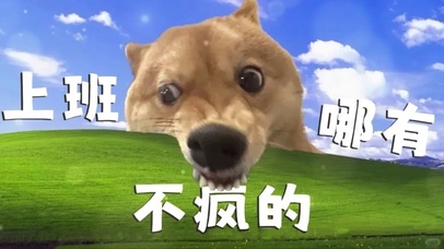 上班哪有不疯的