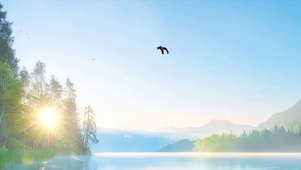 湖面树木护眼绿景带鱼屏双屏