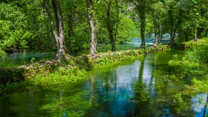 夏日绿林溪水