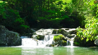 夏日阳光绿林流水