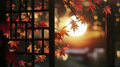 秋日暖阳傍晚枫叶庭院