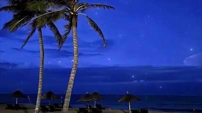 唯美的星空海边椰子树