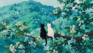 树枝上看风景的猫咪