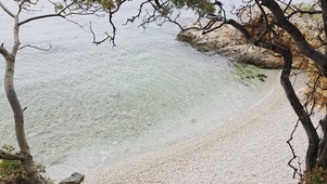 海岸树影温柔海边风光