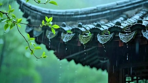 治愈小雨4K