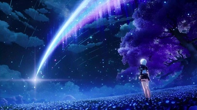 夜晚星空下的花海