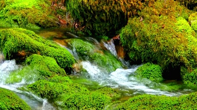 4K夏日清凉小溪 