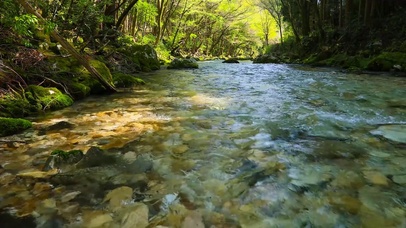 绿林山涧流水