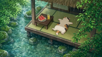 雨中猫眠