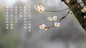 春天花开
