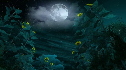 树林夜晚月亮