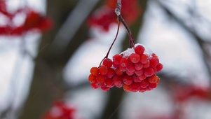 下雪了