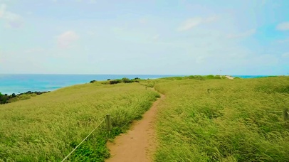 海岸放松蓝天野草