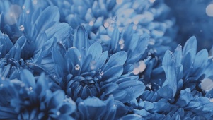 冰蓝水花