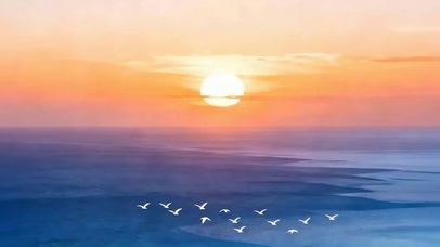 夕阳海景带鱼屏