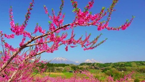 唯美世外桃源 4K