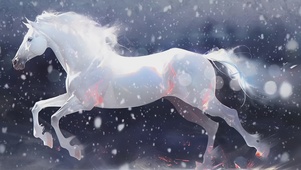 白驹过隙