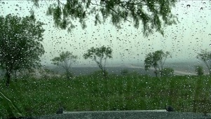 雨中小憩