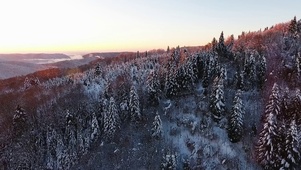 【4K航拍】渐进翻过雪松山顶