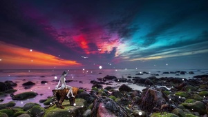 4K梦幻大海