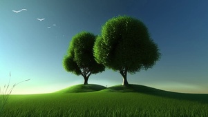 绿色草地