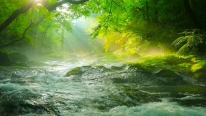 清晨阳光雾气流水