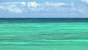 夏日的海