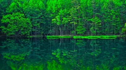 夏日护眼青山绿水野鸭